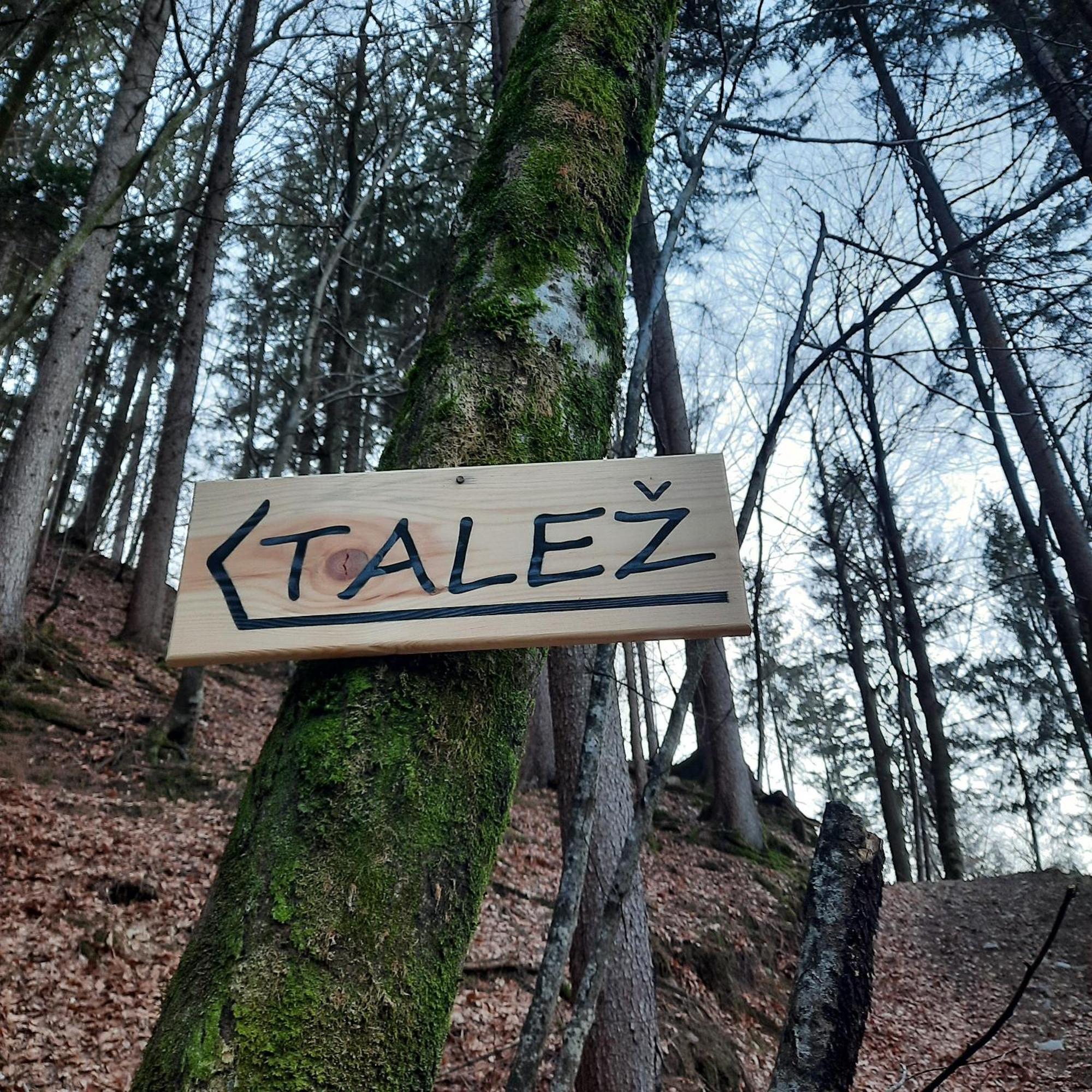Koca V Gozdu, Forest House Near Bled Exterior photo
