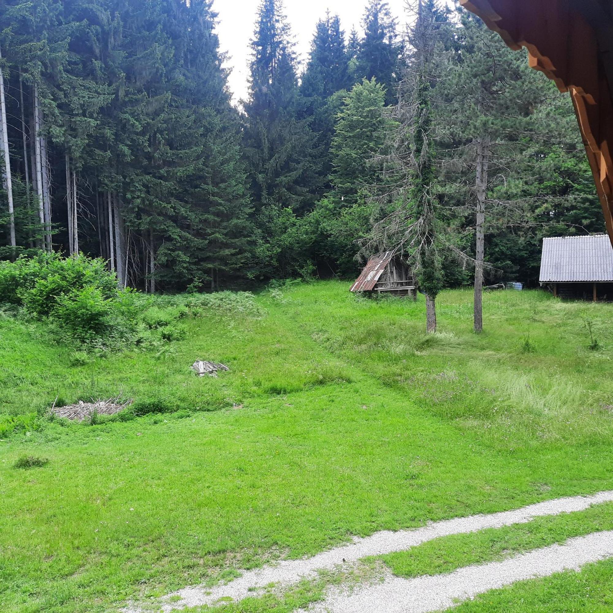 Koca V Gozdu, Forest House Near Bled Exterior photo