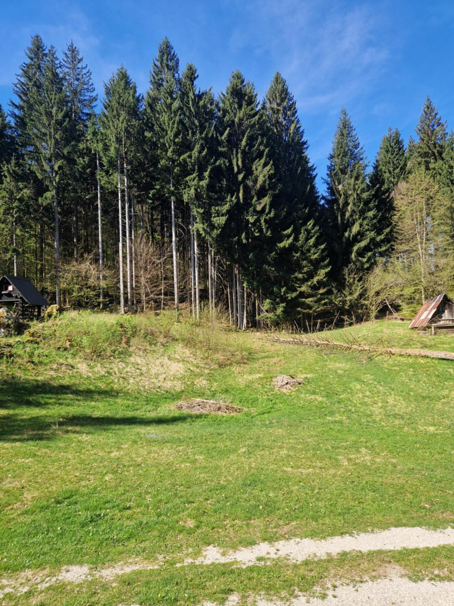 Koca V Gozdu, Forest House Near Bled Exterior photo