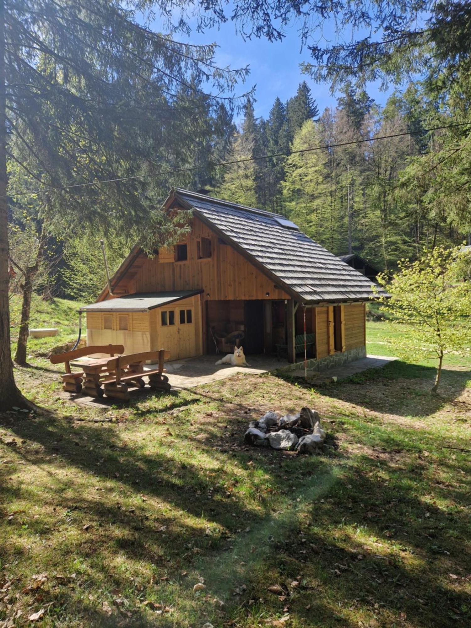 Koca V Gozdu, Forest House Near Bled Exterior photo