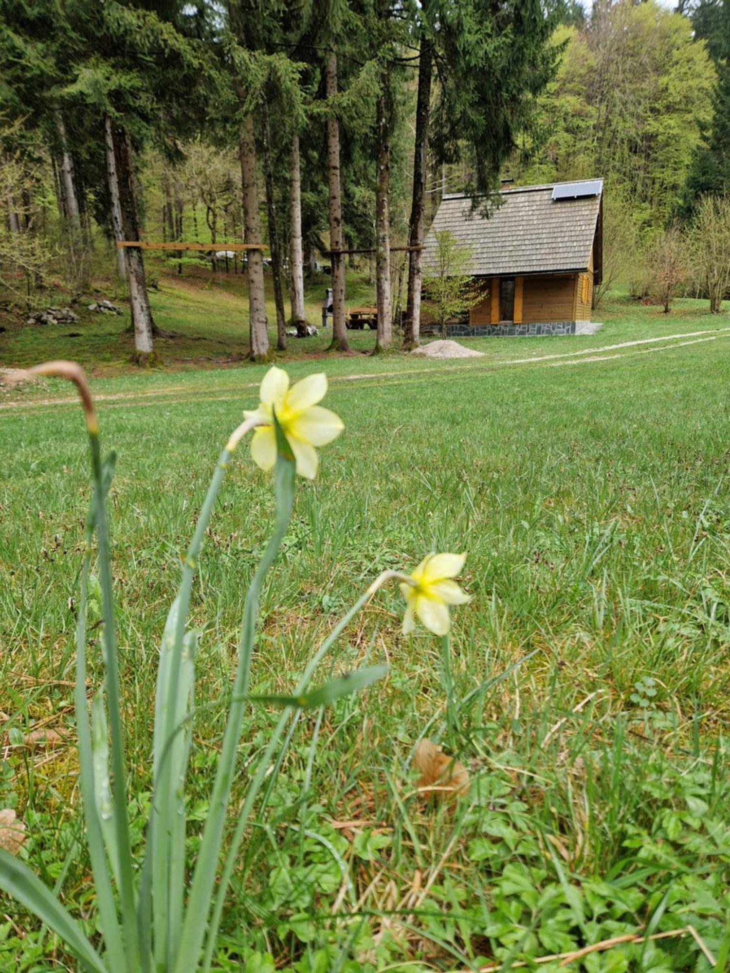 Koca V Gozdu, Forest House Near Bled Room photo