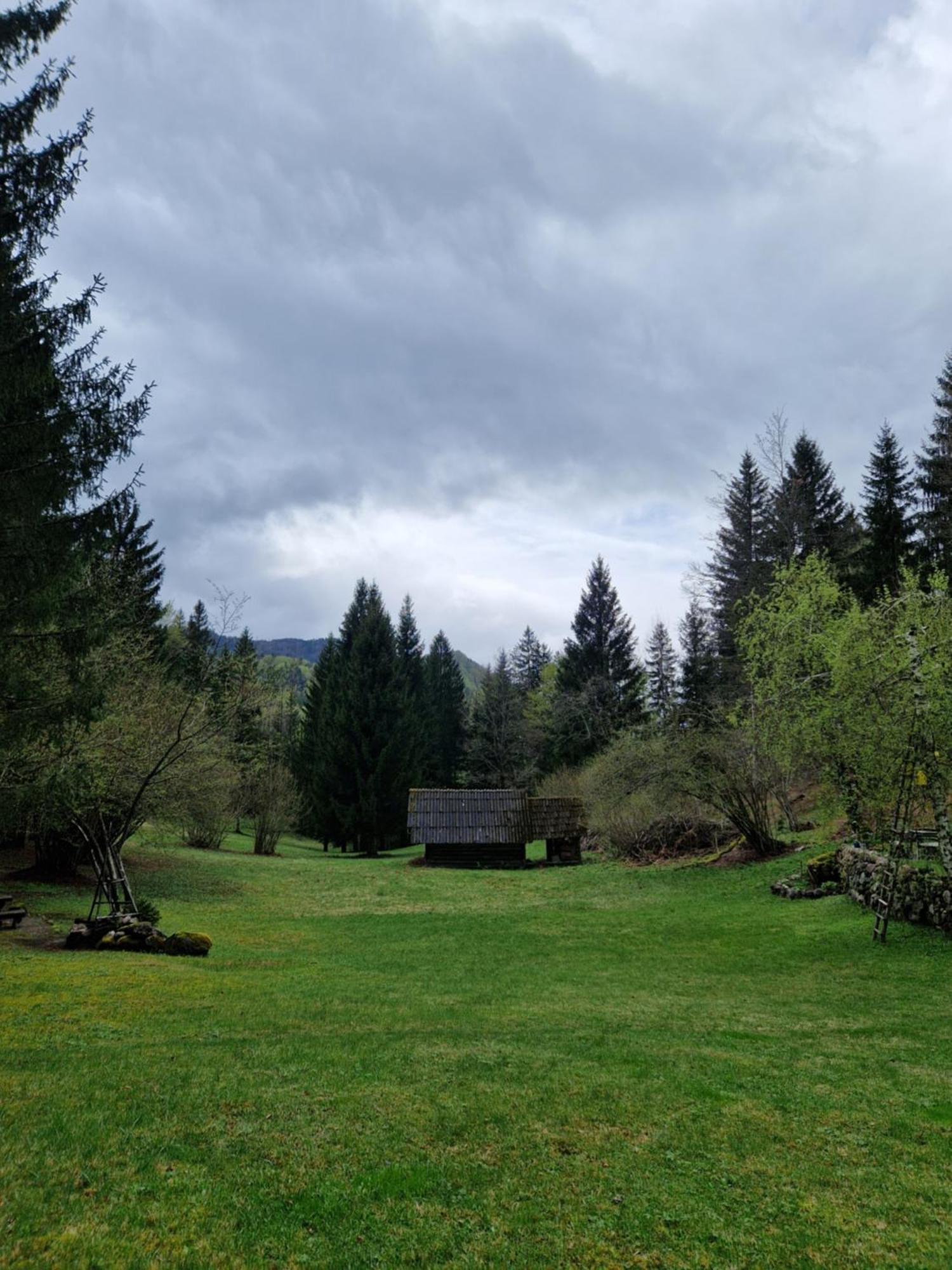 Koca V Gozdu, Forest House Near Bled Room photo